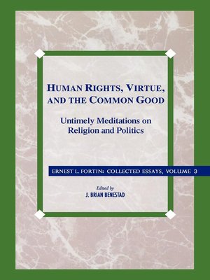 cover image of Human Rights, Virtue and the Common Good